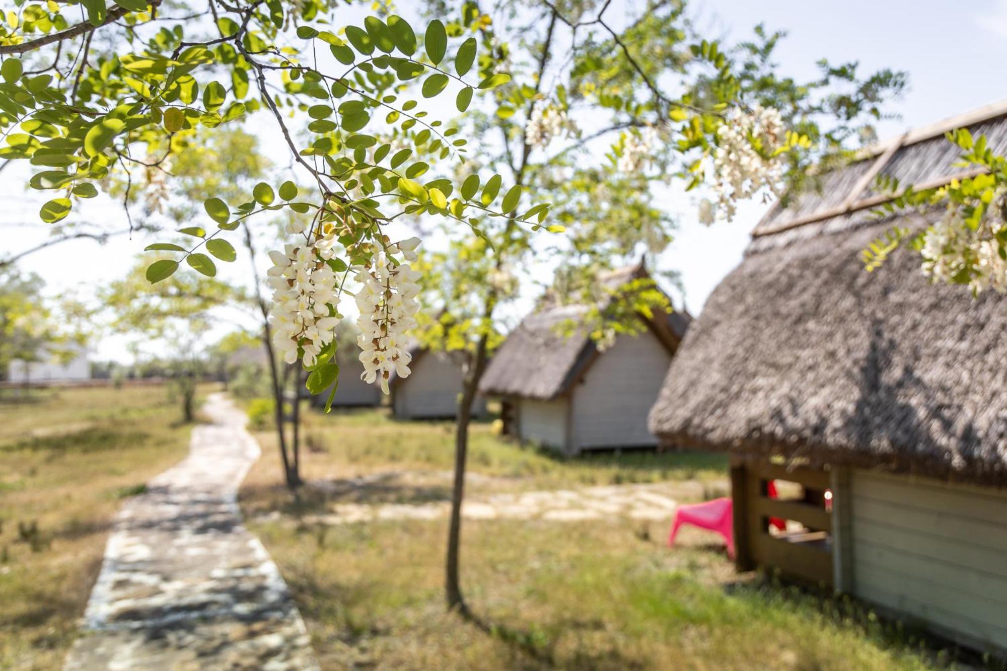 Dolphin Camping Sfântu Gheorghe Exterior photo