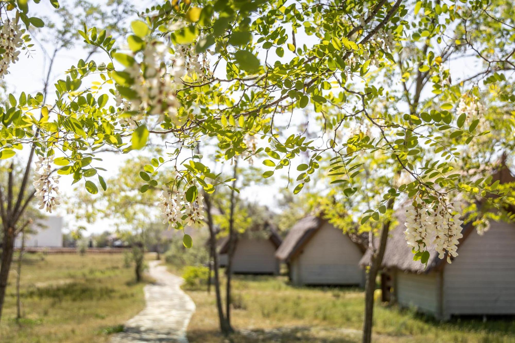 Dolphin Camping Sfântu Gheorghe Exterior photo