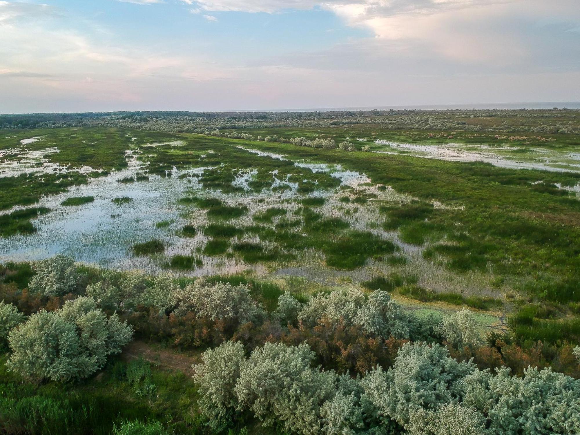 Dolphin Camping Sfântu Gheorghe Exterior photo